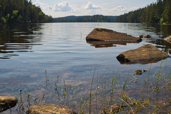 Dry Wells, Hot Tempers: Cedar Lake Neighbors Storm State Water Board