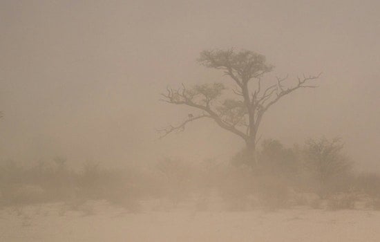 Dust Wall Slams I-10 In West Valley, Phoenix Commute Grinds To A Halt
