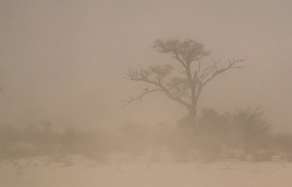 Dust Wall Slams I-10 In West Valley, Phoenix Commute Grinds To A Halt