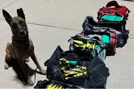 El Paso Deputies Seize $4 Million Cocaine Load From Tractor-Trailer