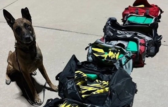 El Paso Deputies Seize $4 Million Cocaine Load From Tractor-Trailer