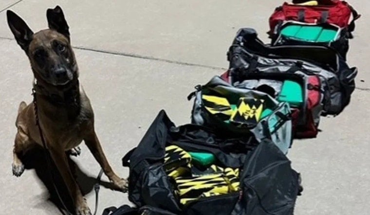 El Paso Deputies Seize $4 Million Cocaine Load From Tractor-Trailer