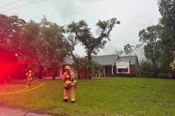 Elmore Drive Erupts In Flames As Spring Hill Fire Crews Rush In
