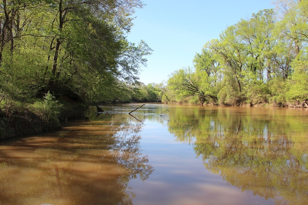 Etowah River Showdown: Cartersville Neighbors Pack Hall To Fight Data Center Plan