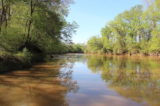 Etowah River Showdown: Cartersville Neighbors Pack Hall To Fight Data Center Plan