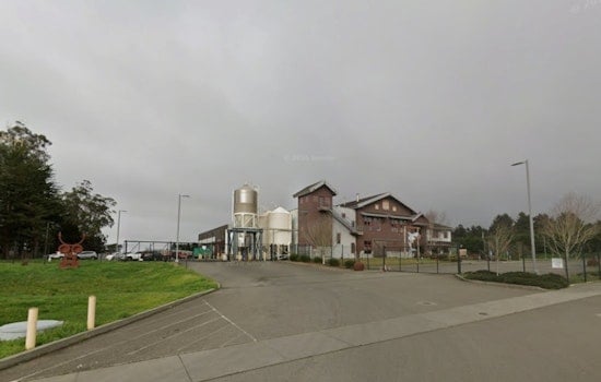 Eureka Beer Icon Lost Coast Hits The Market As Founder Nears 80