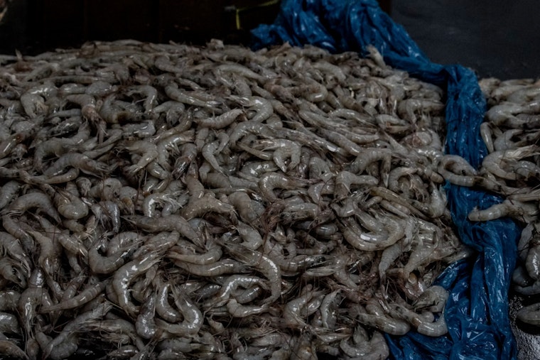 Feds Drop $2.7 Million Lifeline On Grand Isle’s Working Docks