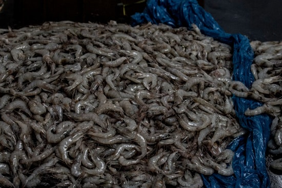 Feds Drop $2.7 Million Lifeline On Grand Isle’s Working Docks