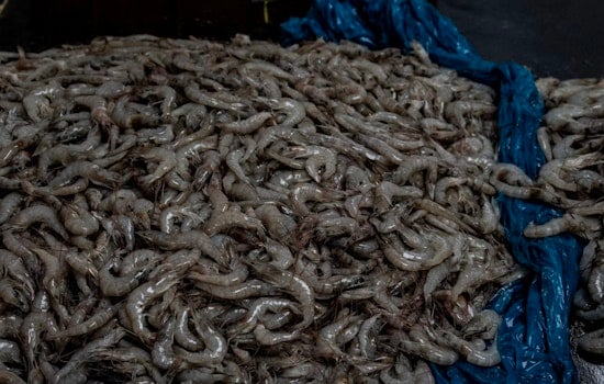 Feds Drop $2.7 Million Lifeline On Grand Isle’s Working Docks