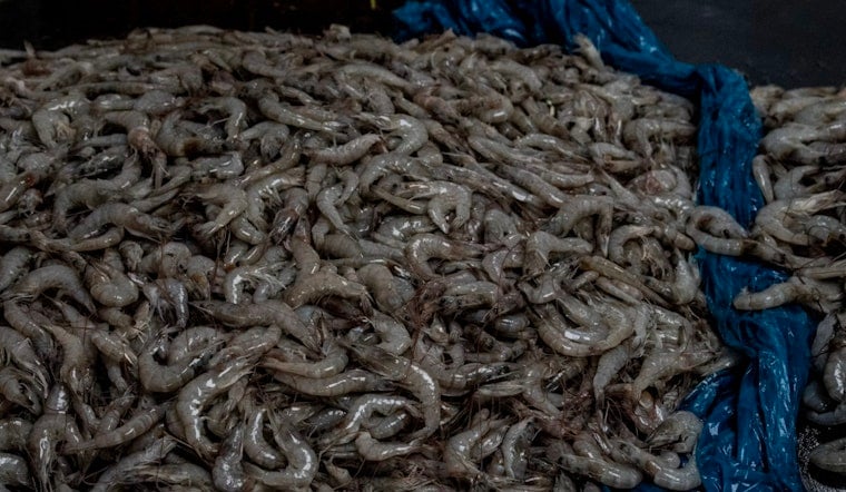 Feds Drop $2.7 Million Lifeline On Grand Isle’s Working Docks