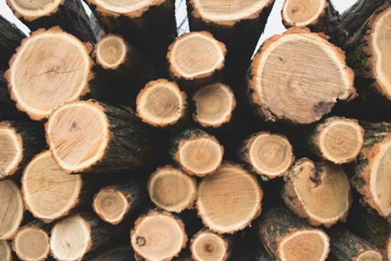 Feds Drop $80 Million on Nevada, Oregon Sawmills in Big Timber Bet
