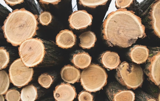 Feds Drop $80 Million on Nevada, Oregon Sawmills in Big Timber Bet
