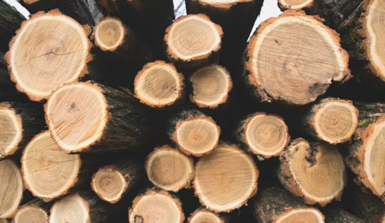 Feds Drop $80 Million on Nevada, Oregon Sawmills in Big Timber Bet