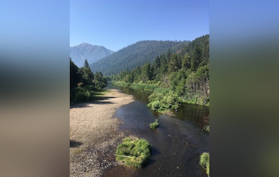 FEMA Flood Map Shakeup Puts Plumas Homes on the Line