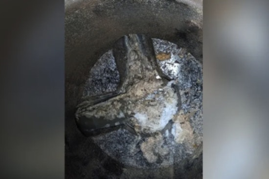 Fence Post Fiasco Drenches Hillsborough Ditch With 38,400 Gallons Of Sewage