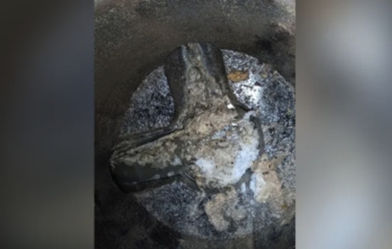 Fence Post Fiasco Drenches Hillsborough Ditch With 38,400 Gallons Of Sewage