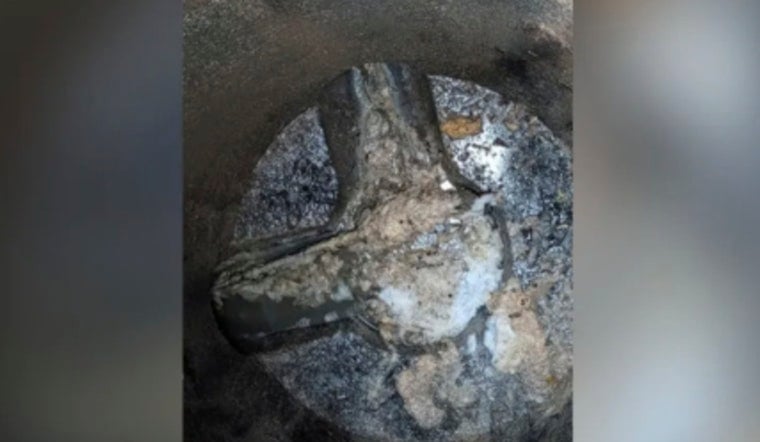 Fence Post Fiasco Drenches Hillsborough Ditch With 38,400 Gallons Of Sewage