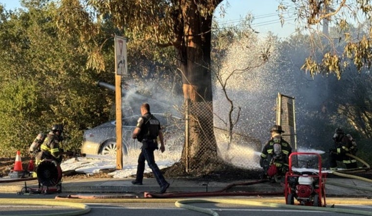 Fiery Alameda de las Pulgas Crash Leaves Driver Dead In San Mateo