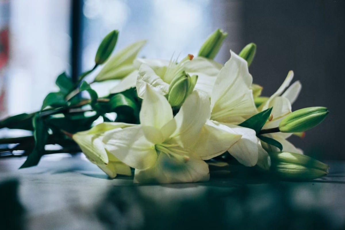 Final Bill Shock: San Diego Families Walloped By $10K Funerals