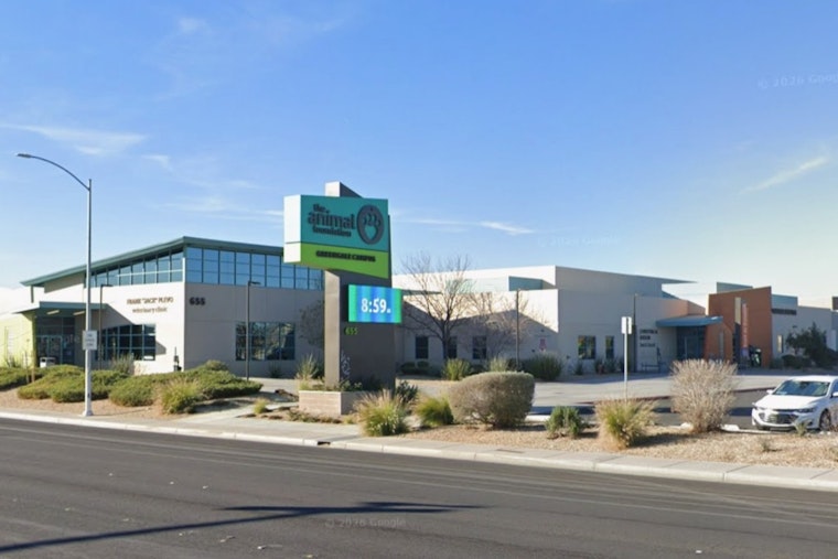 Fireworks Freakouts Flood Vegas Shelters as County Fast-Tracks Second Animal Hub