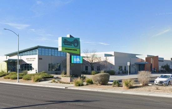 Fireworks Freakouts Flood Vegas Shelters as County Fast-Tracks Second Animal Hub