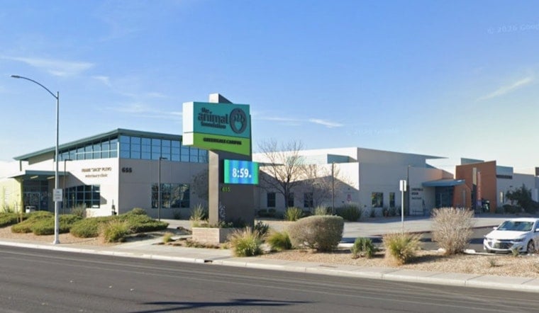 Fireworks Freakouts Flood Vegas Shelters as County Fast-Tracks Second Animal Hub