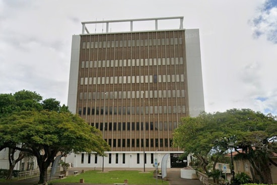 Five Political Rookies Brawl For Alice Lee’s Wailuku Power Seat
