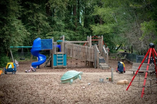 Flea Outbreak Shuts Down Fairfax's Beloved Peri Park Playground