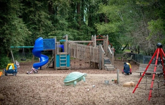 Flea Outbreak Shuts Down Fairfax's Beloved Peri Park Playground