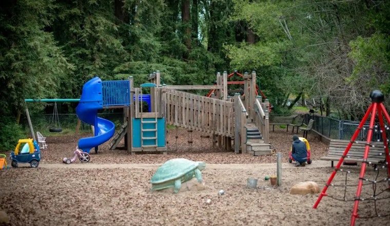Flea Outbreak Shuts Down Fairfax's Beloved Peri Park Playground