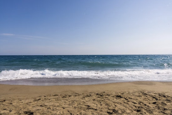 Flesh-Eating Bacteria Fear Hits Houston Waters As Docs Sound Alarm