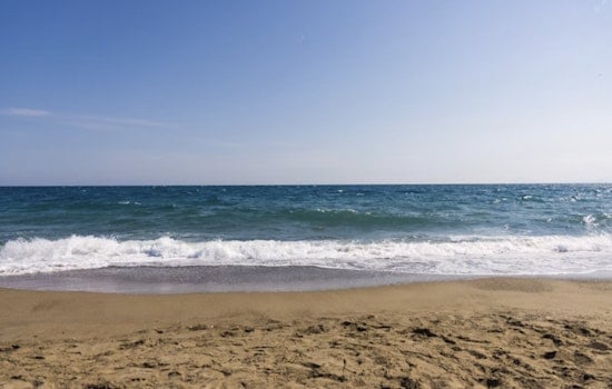 Flesh-Eating Bacteria Fear Hits Houston Waters As Docs Sound Alarm