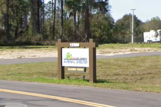 Florida Man Charged After Starved Bulldog Dies At Lake County Shelter