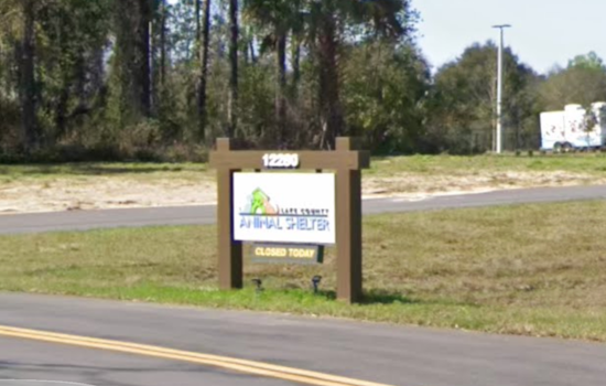 Florida Man Charged After Starved Bulldog Dies At Lake County Shelter