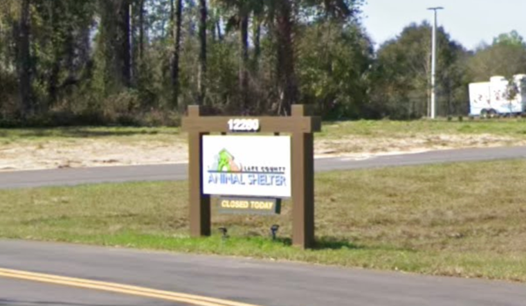 Florida Man Charged After Starved Bulldog Dies At Lake County Shelter