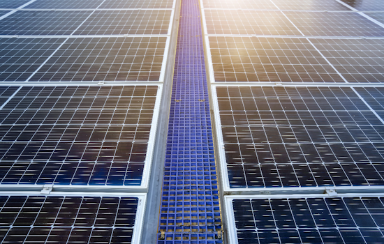 Florida’s Highway Ponds Are The Sunshine State’s Newest Power Players