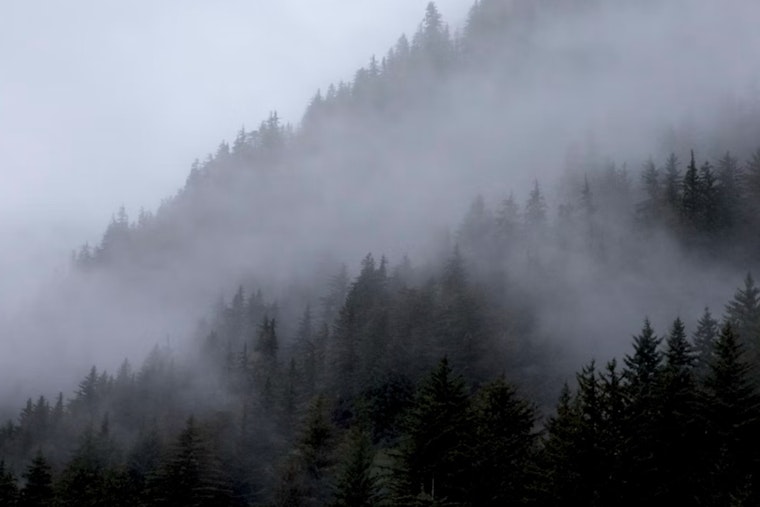 Fog, Pop-Up Storms Poised To Mess With Indy Commute