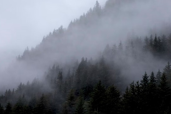 Fog, Pop-Up Storms Poised To Mess With Indy Commute