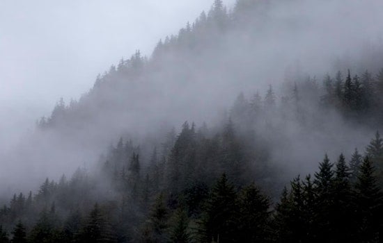 Fog, Pop-Up Storms Poised To Mess With Indy Commute