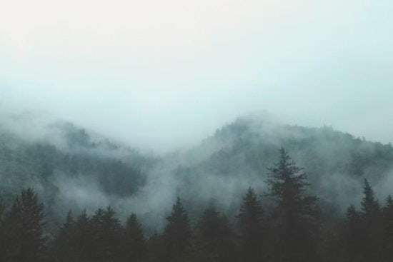 Foggy Start, Stormy Finish For Atlanta Metro On Muggy Saturday