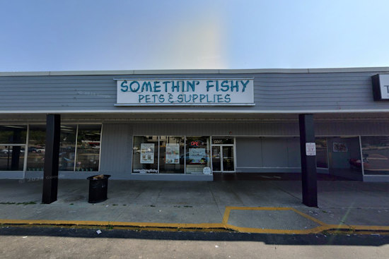 Fox Lake Pet Shop Swamped After 2,000-Gallon Show Tank Bursts