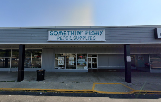 Fox Lake Pet Shop Swamped After 2,000-Gallon Show Tank Bursts