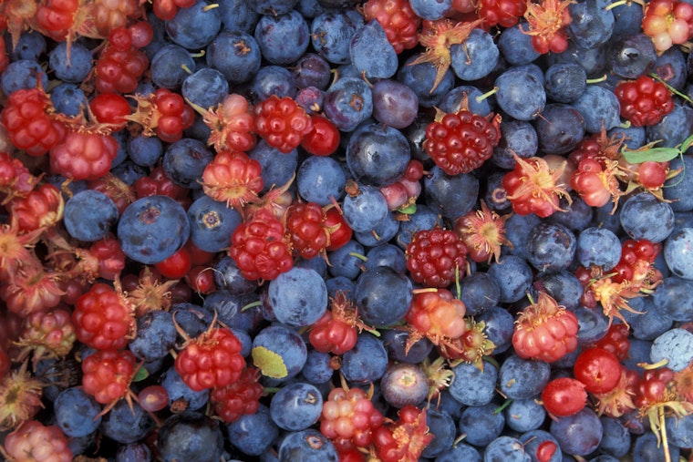 Frozen Out: Wild Weather Guts Oklahoma’s Summer Fruit Harvest