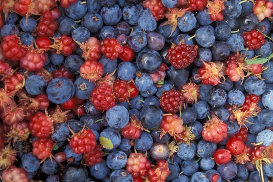 Frozen Out: Wild Weather Guts Oklahoma’s Summer Fruit Harvest
