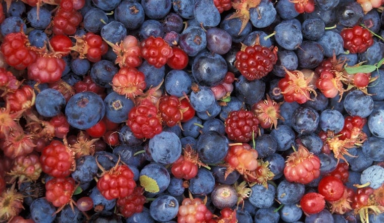 Frozen Out: Wild Weather Guts Oklahoma’s Summer Fruit Harvest
