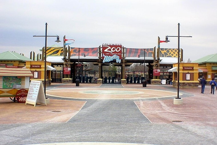 Furious Dublin Dad Sends ‘Columbus Zoo Sucks’ Banner Soaring Over Columbus Zoo