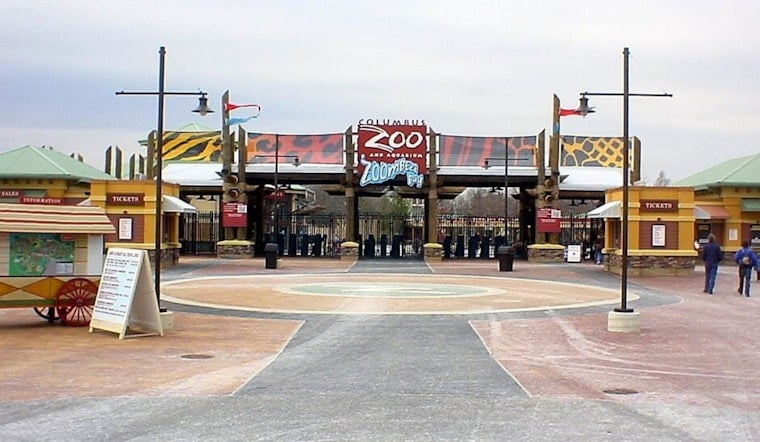 Furious Dublin Dad Sends ‘Columbus Zoo Sucks’ Banner Soaring Over Columbus Zoo