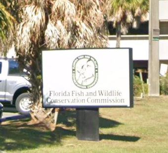 FWC Accused Of Secretly Pulling Critics' Driving Records