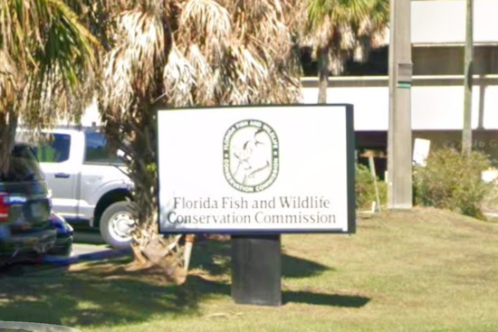 FWC Accused Of Secretly Pulling Critics' Driving Records