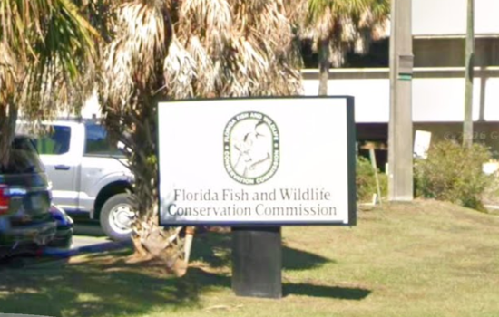 FWC Accused Of Secretly Pulling Critics' Driving Records